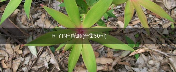句子的句笔顺(合集50句),第1张