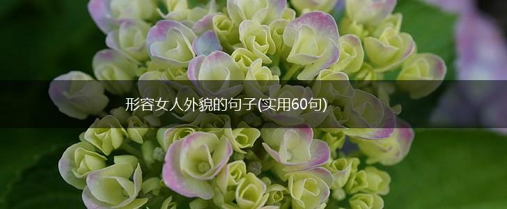 形容女人外貌的句子(实用60句),第1张