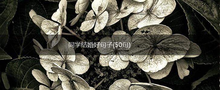 同学结婚好句子(50句),第1张