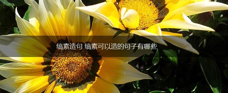缟素造句 缟素可以造的句子有哪些,第1张