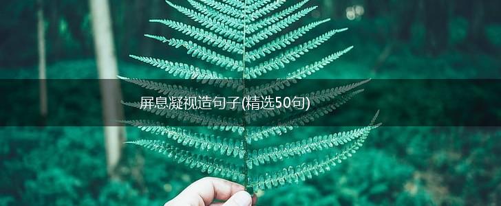 屏息凝视造句子(精选50句),第1张