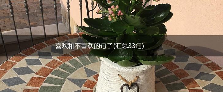 喜欢和不喜欢的句子(汇总33句),第1张