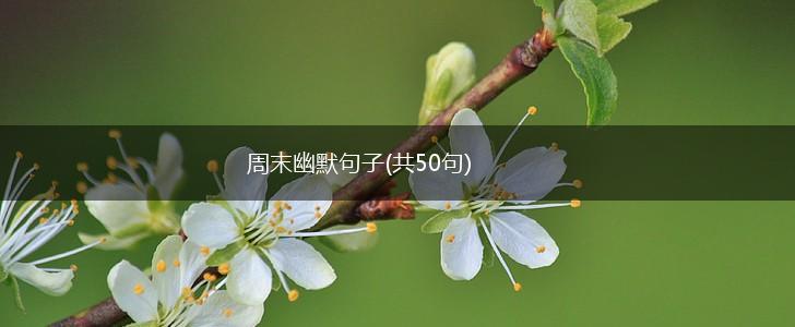 周末幽默句子(共50句),第1张