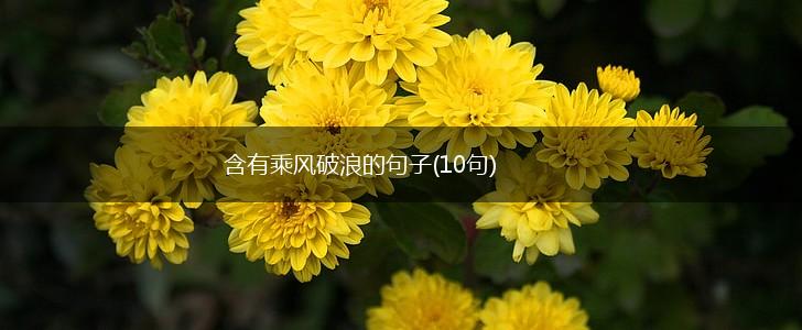 含有乘风破浪的句子(10句),第1张