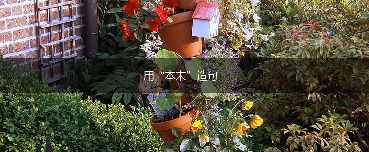 用“本末”造句,第1张