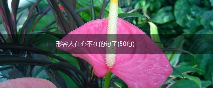 形容人在心不在的句子(50句),第1张