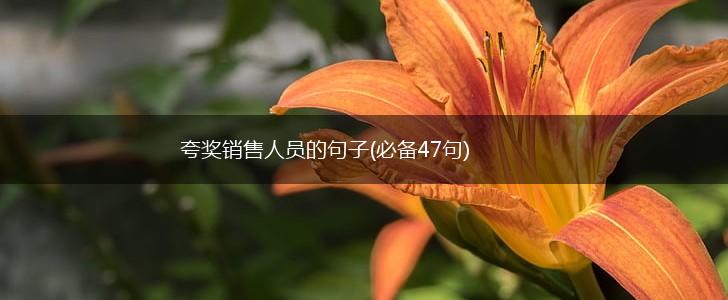 夸奖销售人员的句子(必备47句),第1张