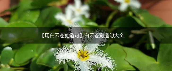 【用白云苍狗造句】白云苍狗造句大全,第1张