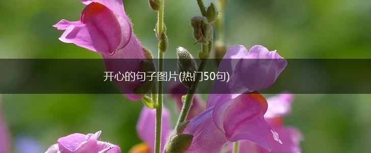 开心的句子图片(热门50句),第1张