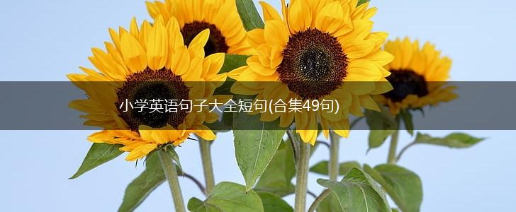 小学英语句子大全短句(合集49句),第1张