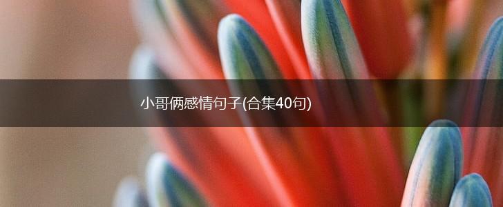 小哥俩感情句子(合集40句),第1张