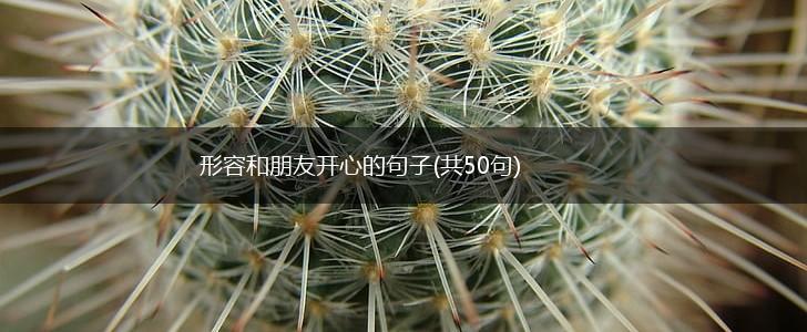 形容和朋友开心的句子(共50句),第1张