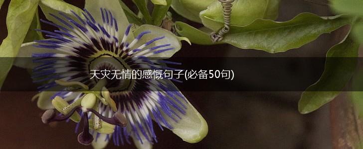 天灾无情的感慨句子(必备50句),第1张