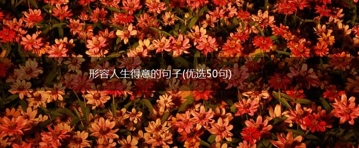 形容人生得意的句子(优选50句),第1张