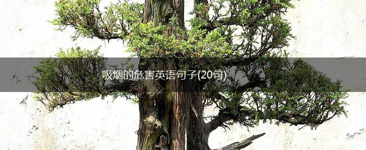 吸烟的危害英语句子(20句),第1张