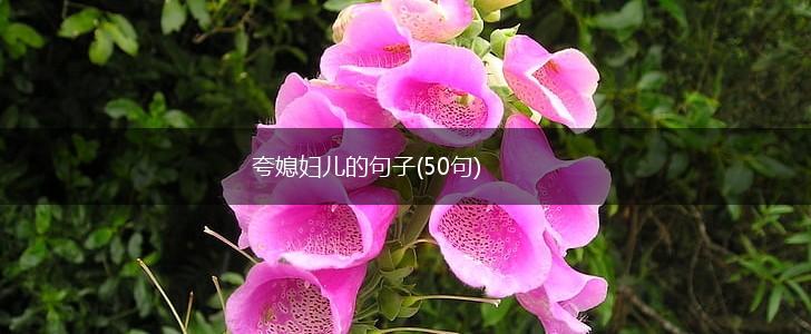 夸媳妇儿的句子(50句),第1张