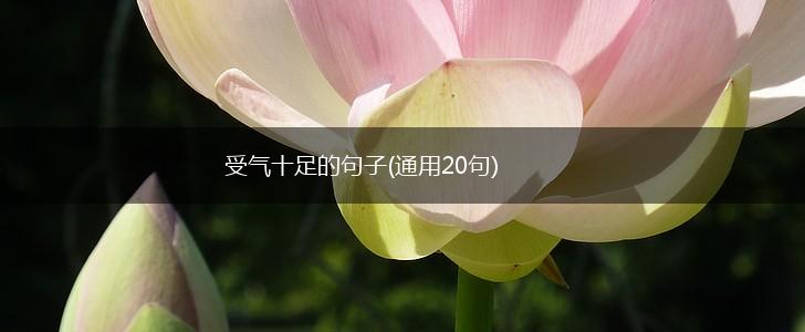受气十足的句子(通用20句),第1张