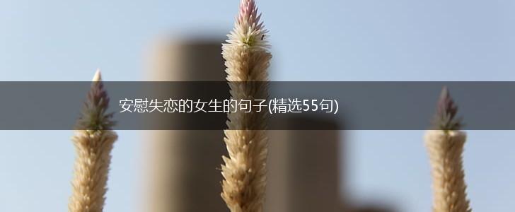 安慰失恋的女生的句子(精选55句),第1张