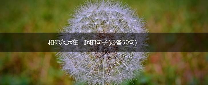 和你永远在一起的句子(必备50句),第1张