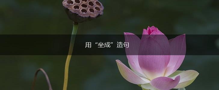 用“坐成”造句,第1张