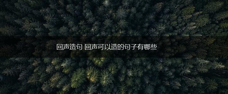回声造句 回声可以造的句子有哪些,第1张 回声造句 回声可以造的句子有哪些,第1张