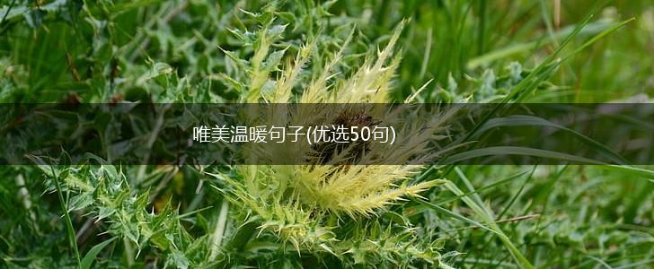 唯美温暖句子(优选50句),第1张