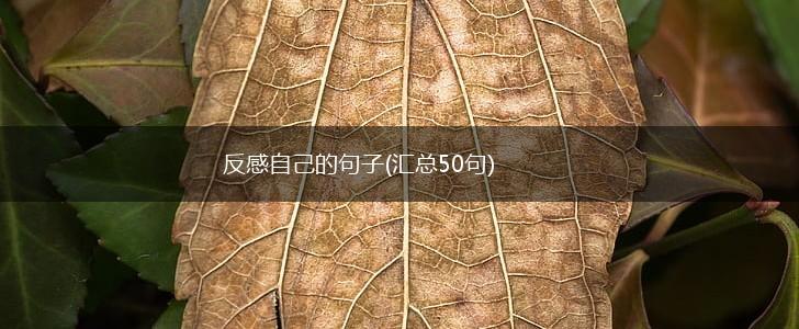 反感自己的句子(汇总50句),第1张
