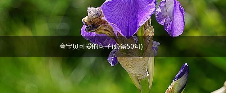 夸宝贝可爱的句子(必备50句),第1张