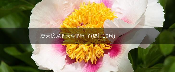 夏天傍晚的天空的句子(热门10句),第1张