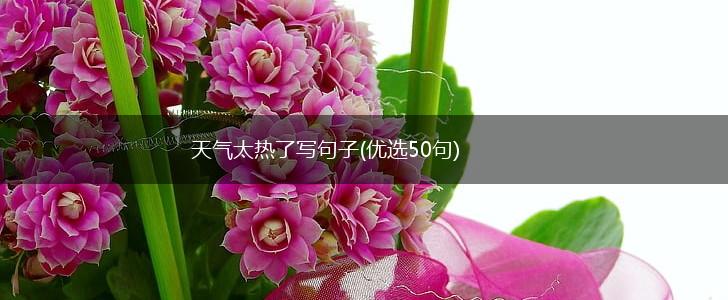 天气太热了写句子(优选50句),第1张