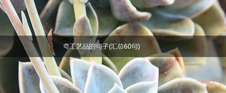 夸工艺品的句子(汇总60句),第1张