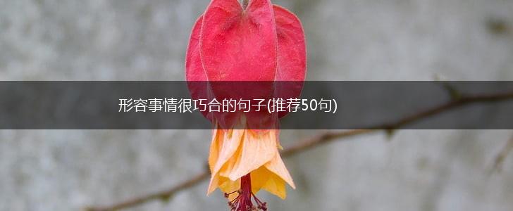 形容事情很巧合的句子(推荐50句),第1张