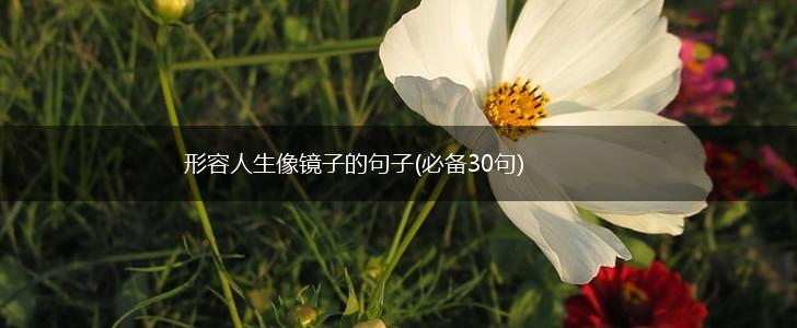 形容人生像镜子的句子(必备30句),第1张