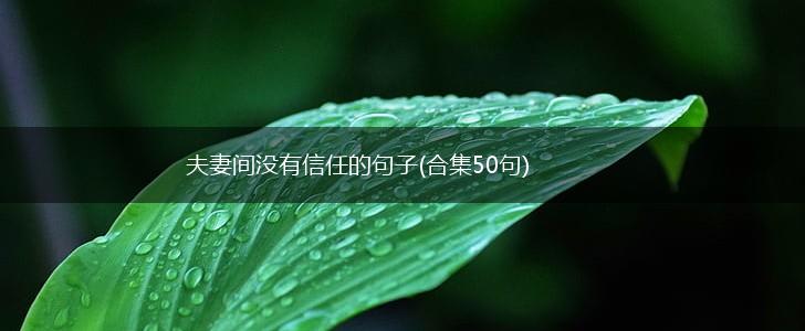 夫妻间没有信任的句子(合集50句),第1张