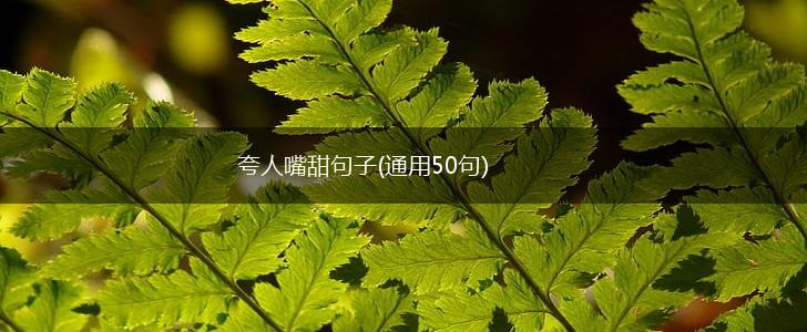 夸人嘴甜句子(通用50句),第1张