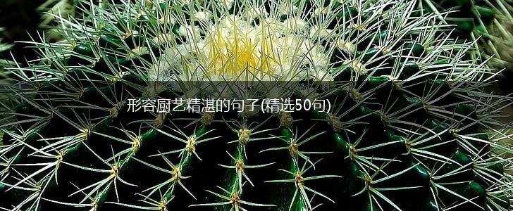形容厨艺精湛的句子(精选50句),第1张