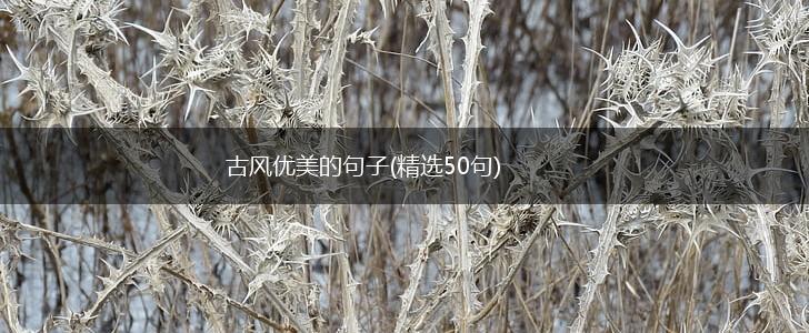 古风优美的句子(精选50句),第1张