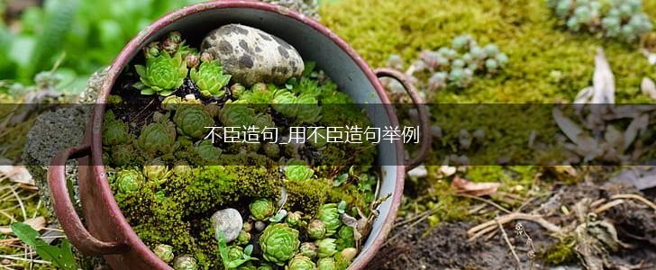 不臣造句_用不臣造句举例,第1张