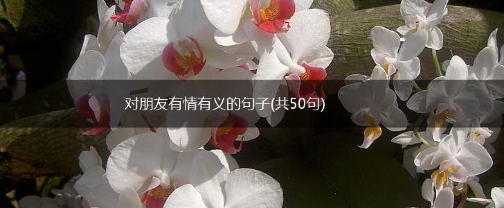 对朋友有情有义的句子(共50句),第1张