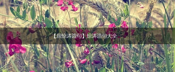 【用惊涛造句】惊涛造句大全,第1张 【用惊涛造句】惊涛造句大全,第1张