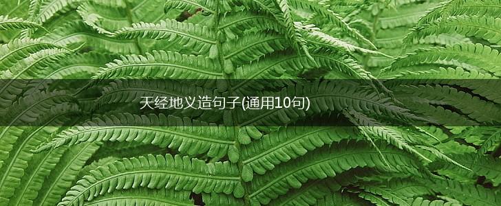 天经地义造句子(通用10句),第1张