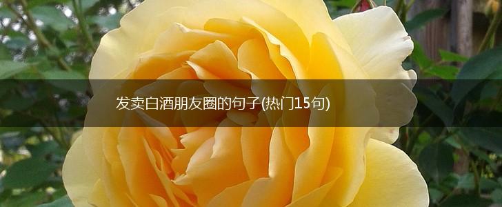 发卖白酒朋友圈的句子(热门15句),第1张