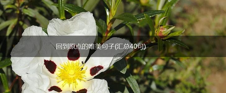 回到原点的唯美句子(汇总40句),第1张