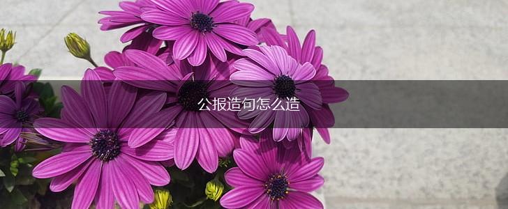 公报造句怎么造,第1张 公报造句怎么造,第1张