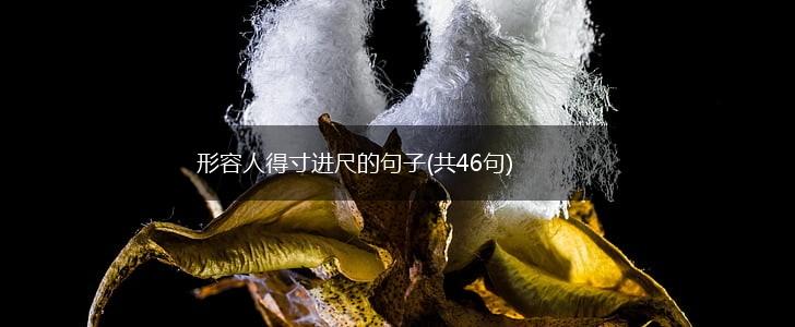 形容人得寸进尺的句子(共46句),第1张