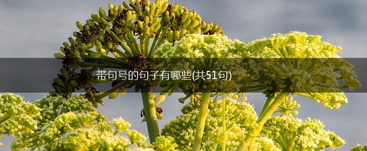 带句号的句子有哪些(共51句),第1张