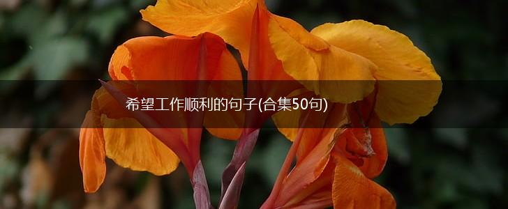 希望工作顺利的句子(合集50句),第1张