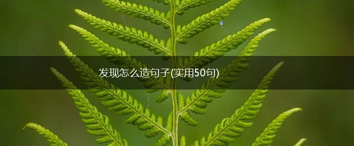发现怎么造句子(实用50句),第1张