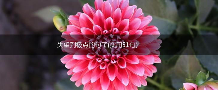 失望到极点的句子(实用51句),第1张