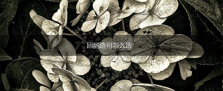 回肠造句怎么造,第1张